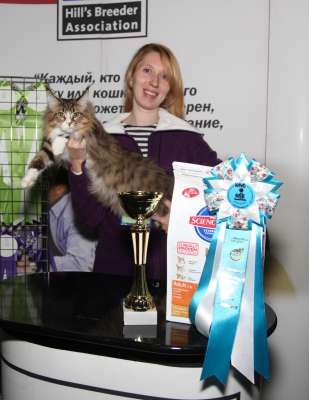 Выставка кошек 'Осенний Кэт-Салон' 30 ноября-1 декабря 2013., WCF-ринги 2679